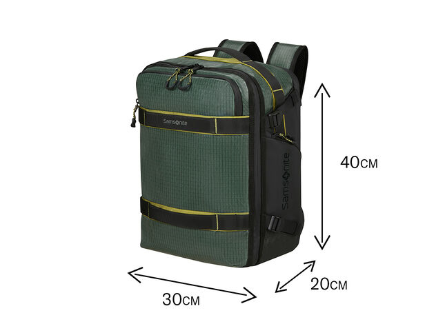 Gratis a bordo de Ryanair