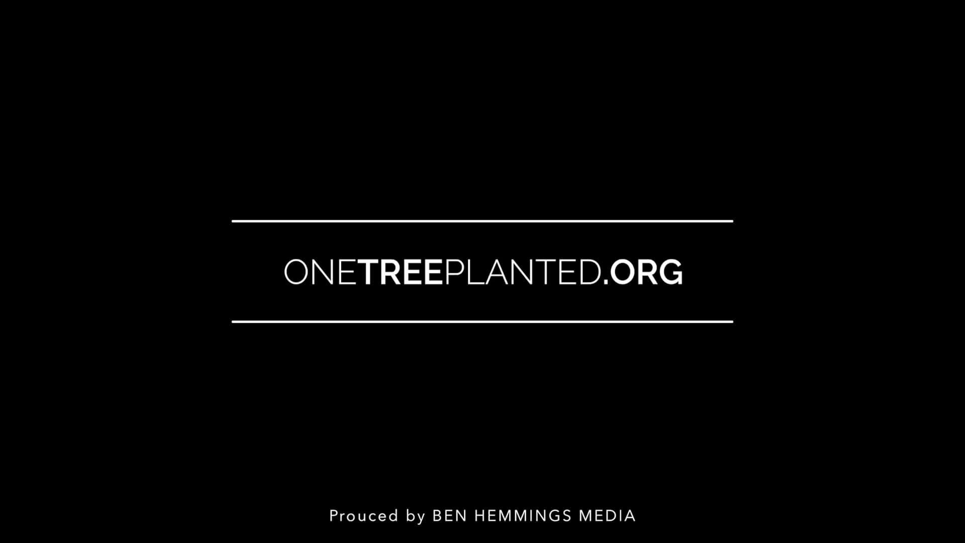 One Tree Planted