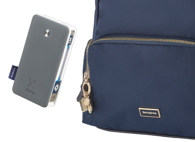 Organización powerbank