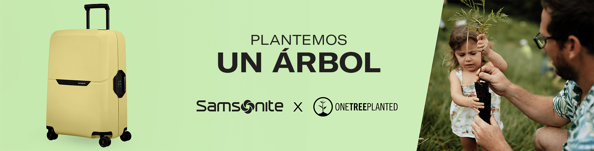 Let's plant a tree