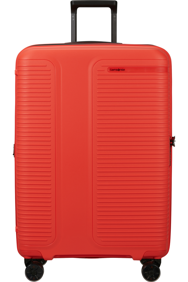 Prodiver Maleta Spinner expansible (4 ruedas) 75cm