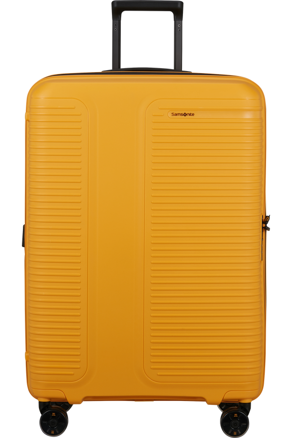 Prodiver Maleta Spinner expansible (4 ruedas) 75cm