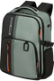 Samsonite Biz2go BP Daytrip 15.6'  Sage