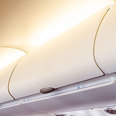 Cabin Luggage